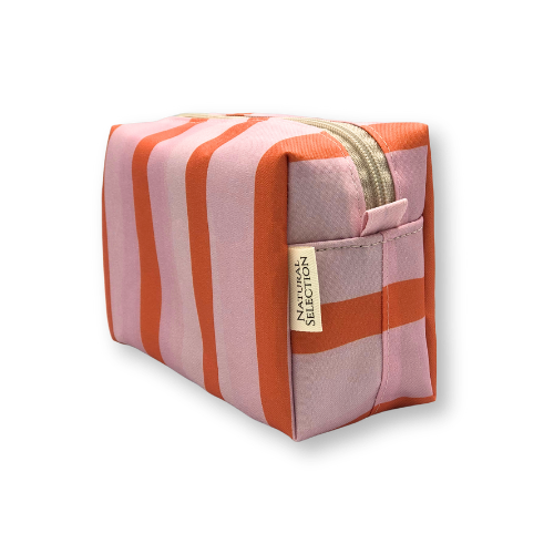 Paradise Stripe Pink Mini Box Bag