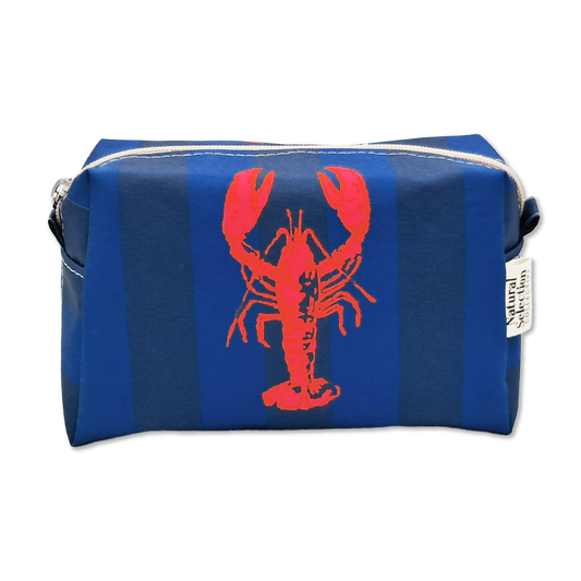Paternoster Mini Box Bag