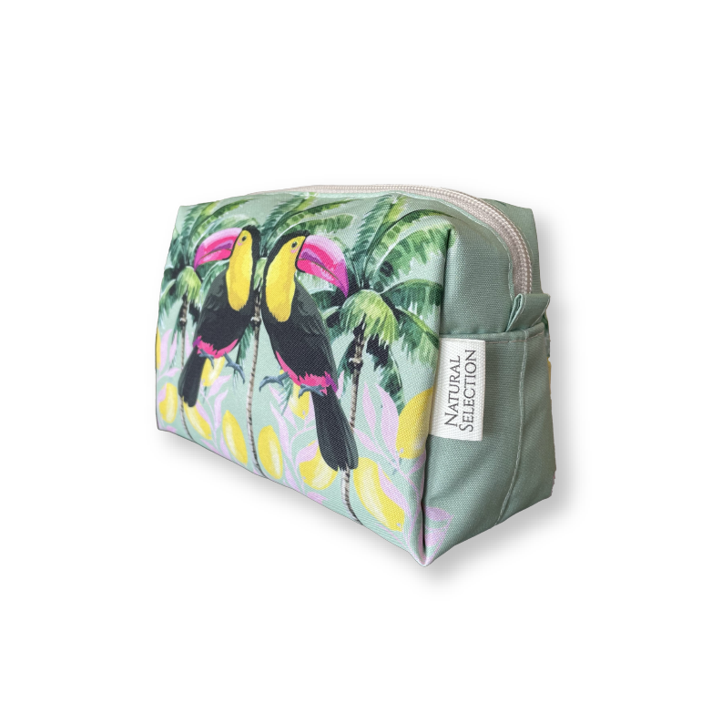 Pink Lemonade Toucan Mini Box Bag