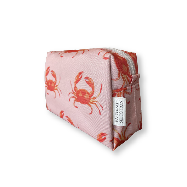 Sand Crab Mini Box Bag