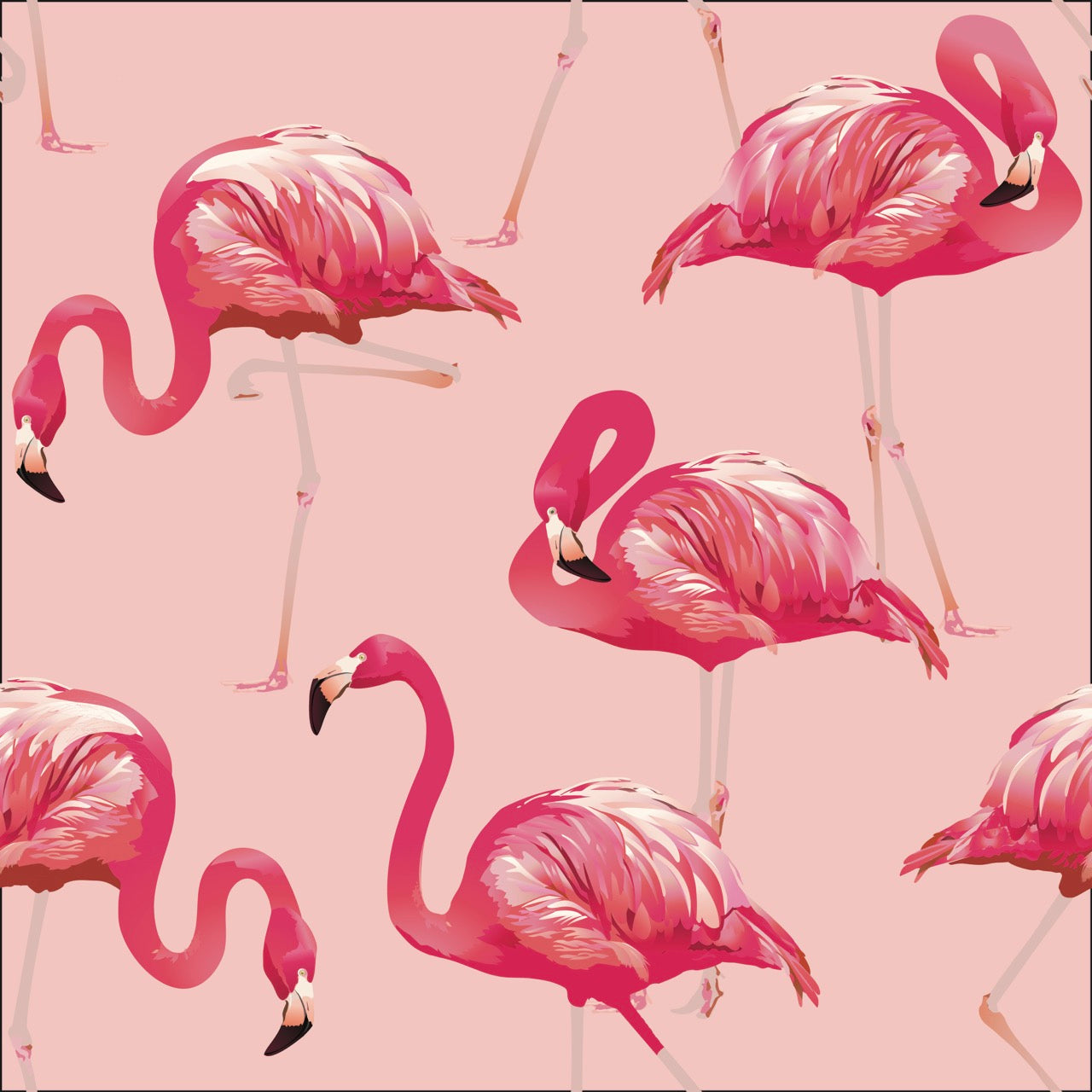 La Palma Flamingo Pink