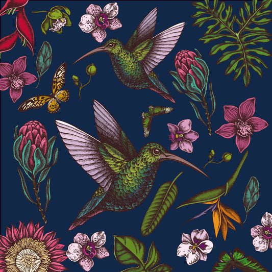 Midnight Hummingbird