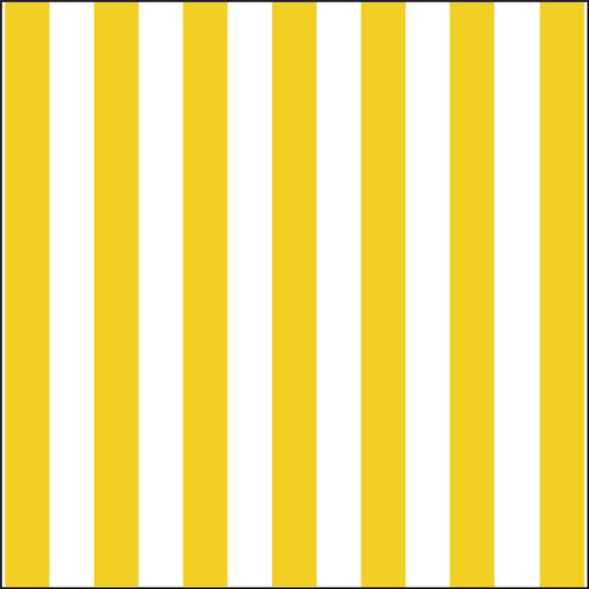 Splendida Stripe Yellow